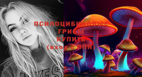 таблы Вяземский