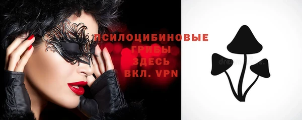 таблы Вяземский