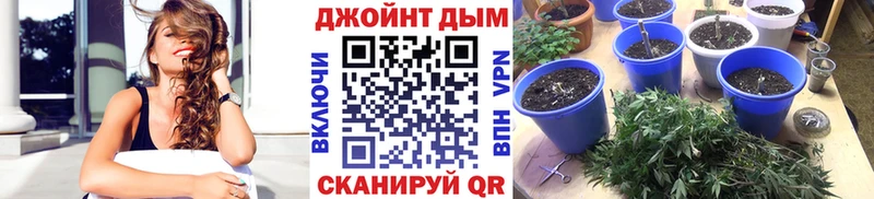 купить закладку  Красноярск  Шишки марихуана THC 21% 